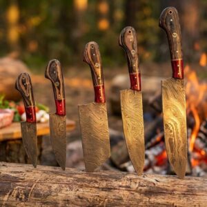 Hand Forged Damascus Chef Set, Handmade Kitchen knife, Damascus Chef knives, Cooking knife, Kitchen knives, Anniversary & Birthday gift USA