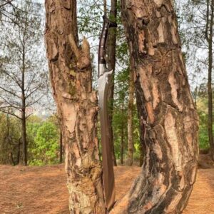 Handmade High Carbon Steel Sword: Rosewood Handle, Leather Sheath